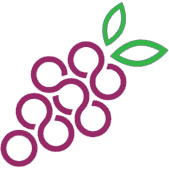 Vinipolis logo