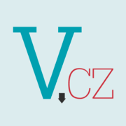 Vzory logo