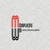 Web-mediaplacing.com logo