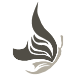 Webagogo.be logo