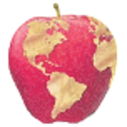 The Wenatchee World logo