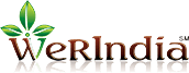 Werindia.com logo