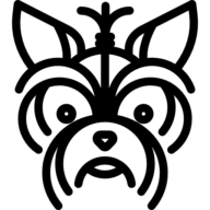 Yorkshires.fr logo
