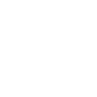 Zanonlights.com logo