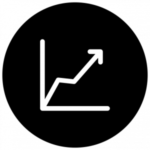 AAZ Système logo