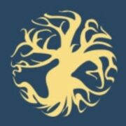 Acpcongo.com logo