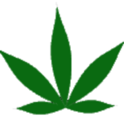 Actic Post logo