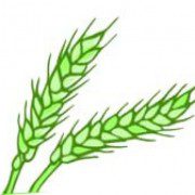 Agrowies.pl logo