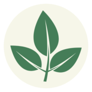Alternativeheilungsmethoden.com logo