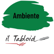 Il Tabloid Ambiente logo