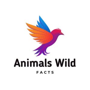 Animals Wild Facts logo