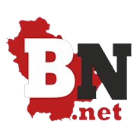 Basilicatanotizie.net logo