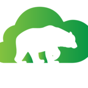 Bear Grylls Gear logo