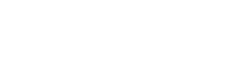 Belle logo