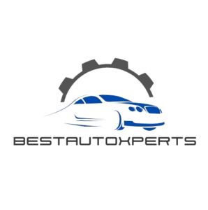 Best Auto Xperts logo