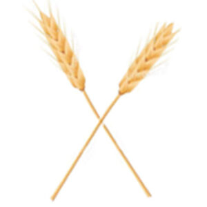Bezpsenice.cz logo