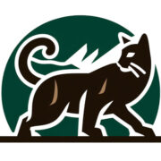 Big Cat Facts logo