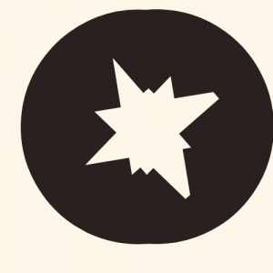 Birds Newspaper logo