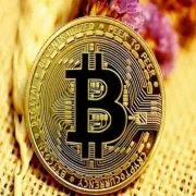 Bitcointodays.com logo
