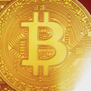BitNews24.live logo