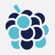 Blackberryempire.com logo