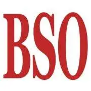 Black Sports Online logo