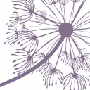Bloeise logo