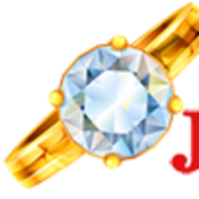 Bloomingjewellery.com logo