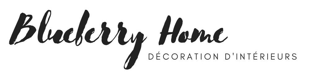 Blueberryhome.fr logo