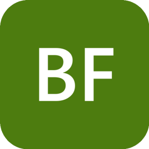 Boisefoundry.com logo