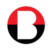 Botosaniul.ro logo