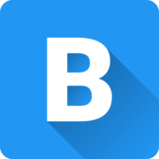 Brandignity logo