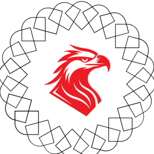 Brands Insider logo