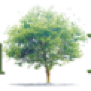 Brentwood News logo