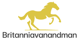 Britanniavanandman.co.uk logo