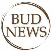 Budnews.pl logo
