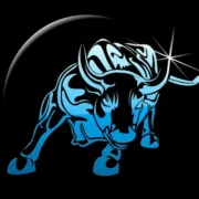 Bull Eyes Blog logo