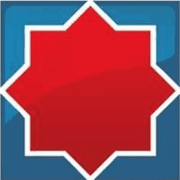 Ziarul BURSA logo