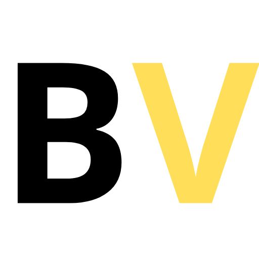 Businessvox.it logo