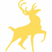 Cacciapassione.com logo