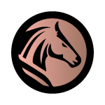 Cambridge-minibus.co.uk logo