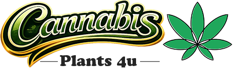 Cannabis Plants 4U logo