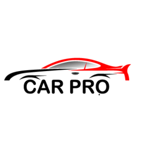 Car Repro logo