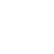 Casino Bonuser logo