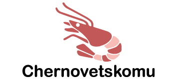 Chernovetskomu.net logo