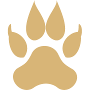 Coingabbar.com logo