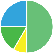 Color Fle logo