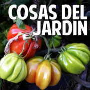 Cosasdeljardin.com logo