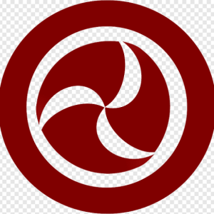 Dailymail4you.com logo