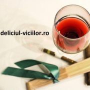 Deliciul-viciilor.ro logo